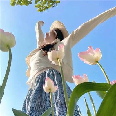 大侠梅花鹿 在线观看